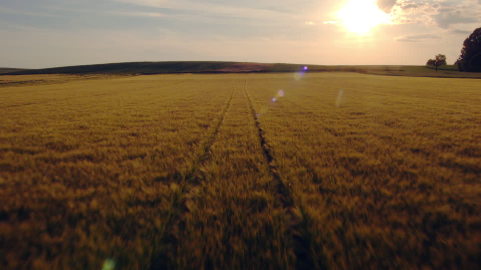 Software para profesionales del seguro agrario y pecuario